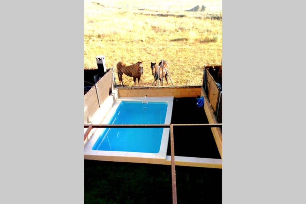 فيلا La Espiga De La Mata شقوبية المظهر الخارجي الصورة